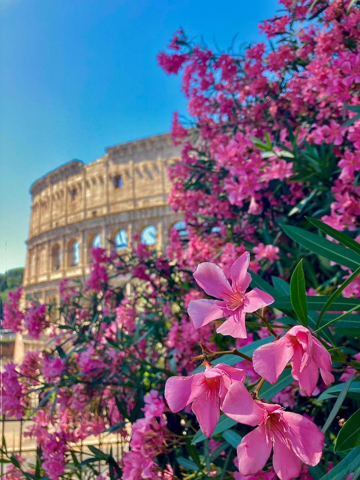Cozy Colosseo — Foto 2